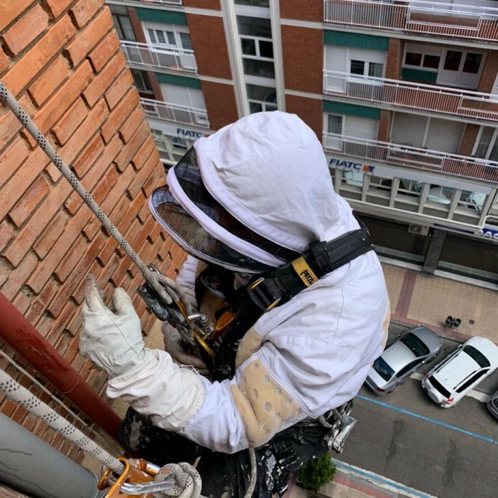 Retirar y tapar nidos de avispas