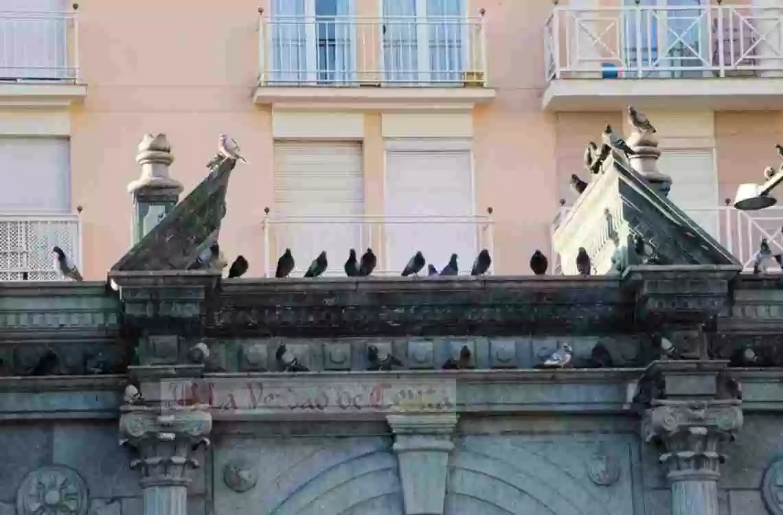 Cómo reducir la acción nociva de las palomas en las ciudades